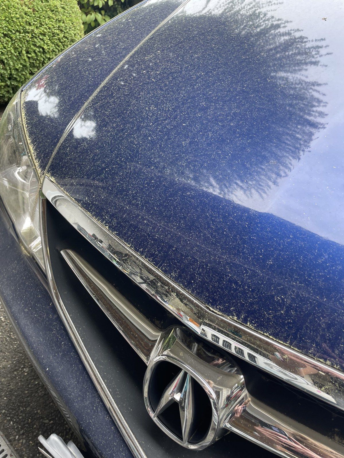Acura exterior, before